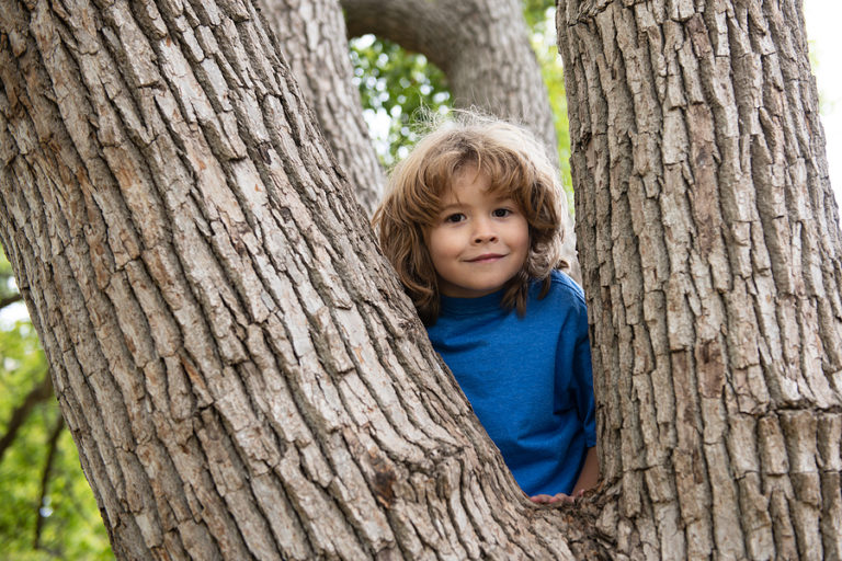 portrait of a funny kid climbing in a tree in a park