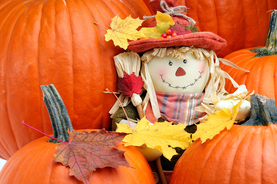 bigstock fall color 9820595
